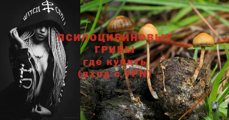 Галлюциногенные грибы Cubensis  Муром 